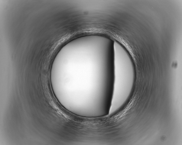 X0000099550625200805160727