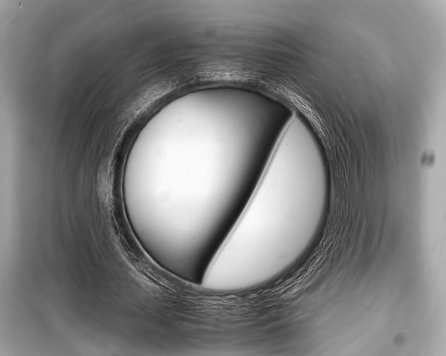 X0000099550627200805160727