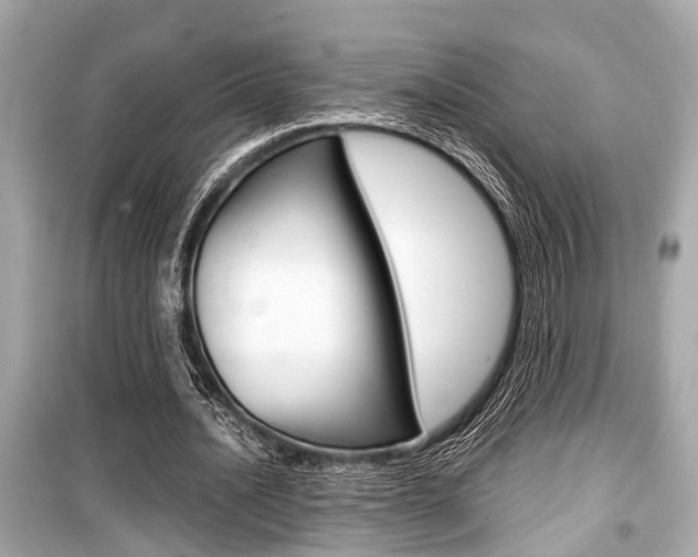 X0000099550628200805160727