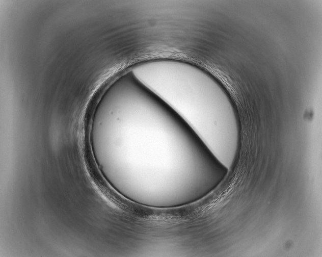 X0000099550630200805160727