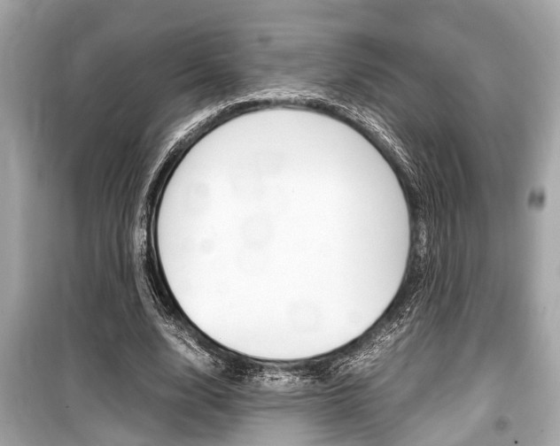 X0000099550632200805160727