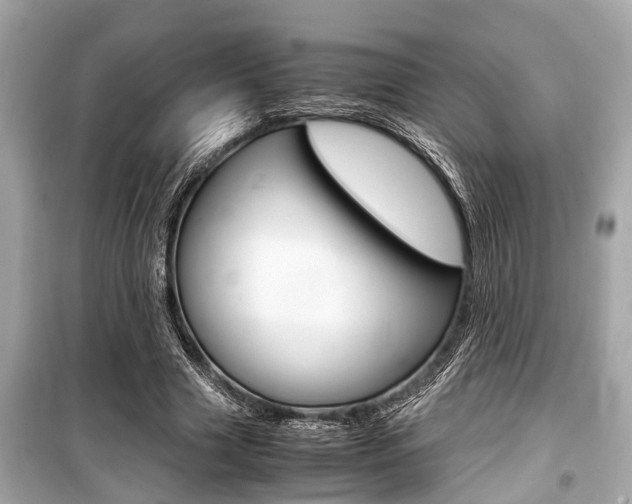 X0000099550633200805160727