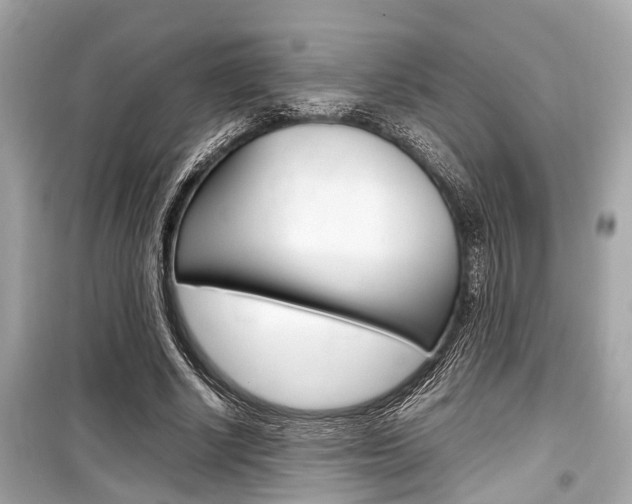 X0000099550634200805160727