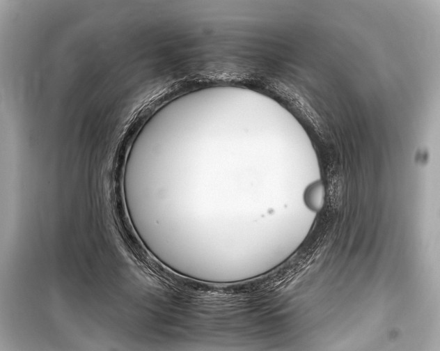 X0000099550635200805160727