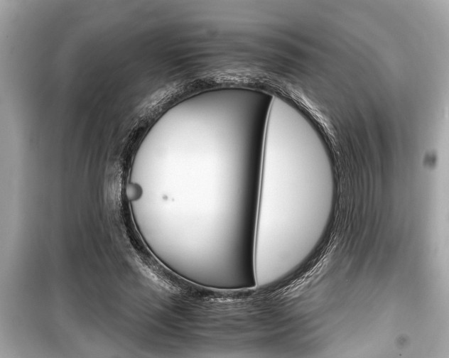 X0000099550637200805160727