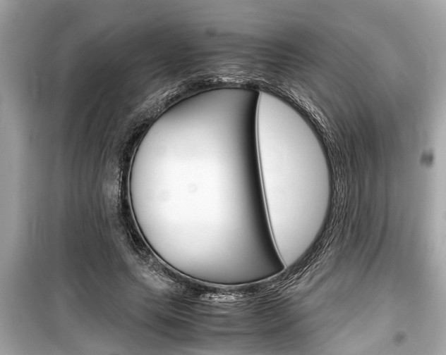 X0000099550639200805160727