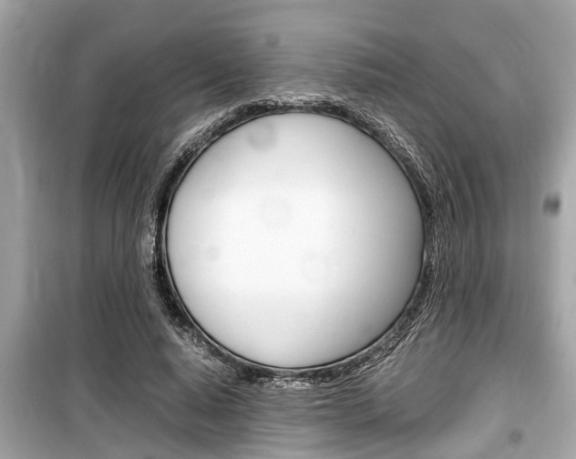 X0000099550640200805160727