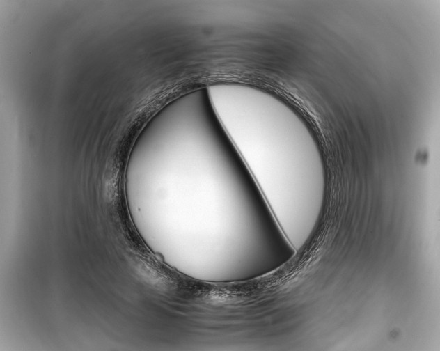 X0000099550641200805160727