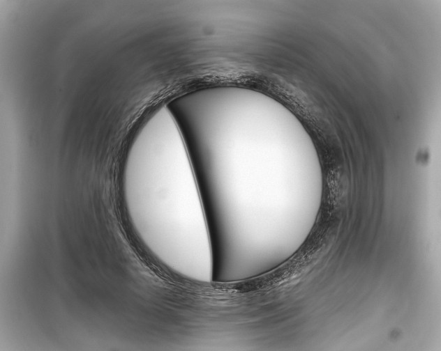 X0000099550642200805160727