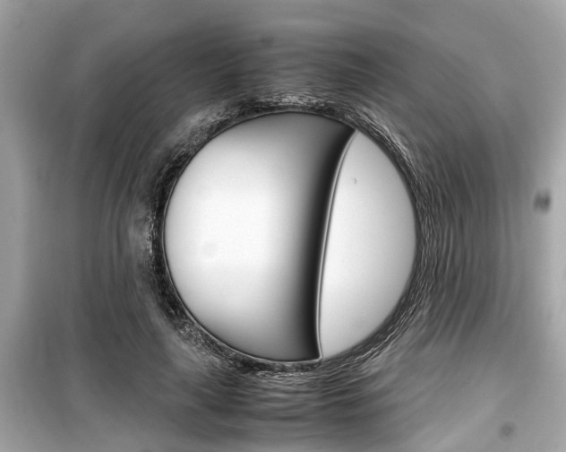 X0000099550643200805160727