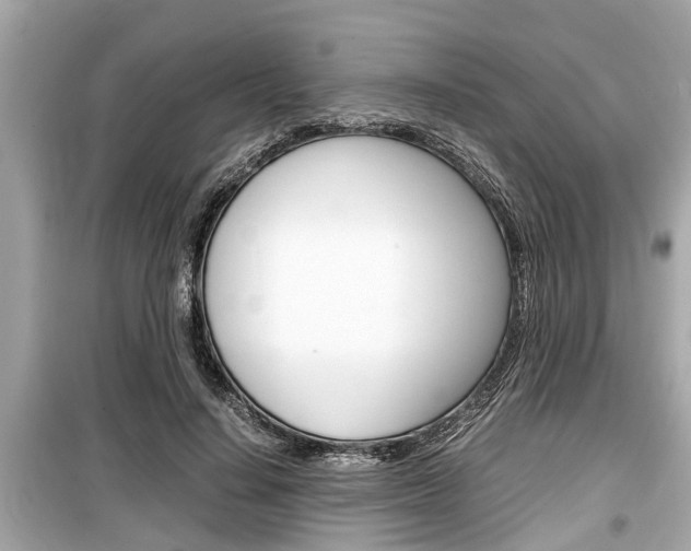 X0000099550644200805160727