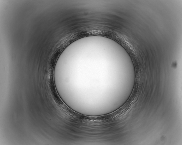 X0000099550645200805160727