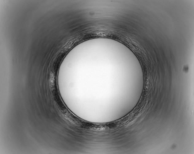 X0000099550646200805160727
