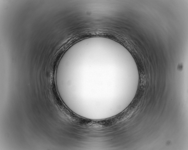 X0000099550648200805160727