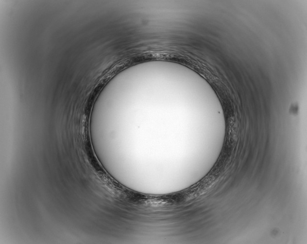 X0000099550650200805160727