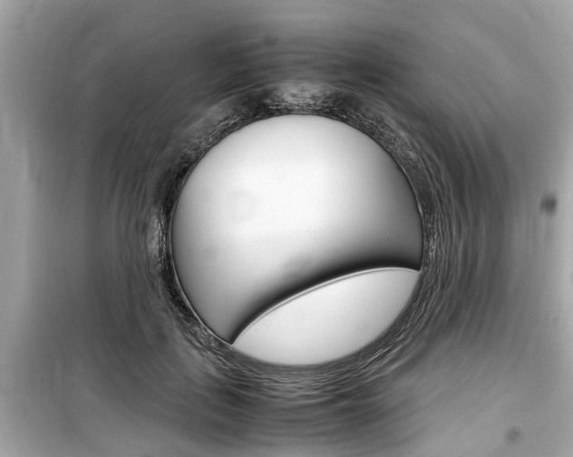 X0000099550651200805160727
