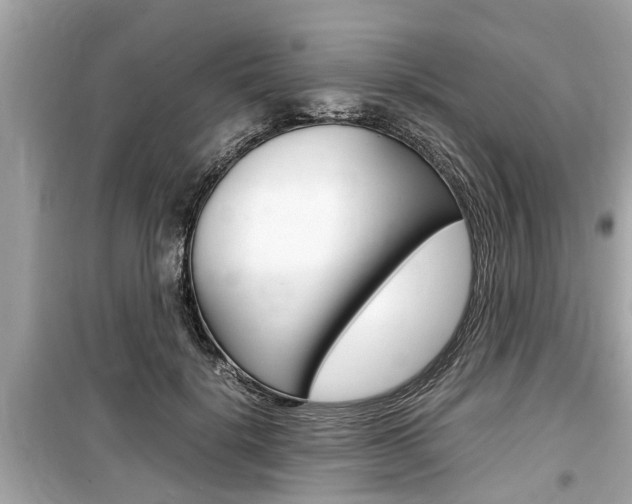 X0000099550652200805160727