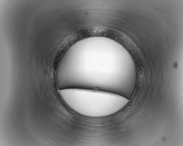 X0000099550654200805160727