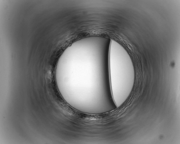 X0000099550655200805160727