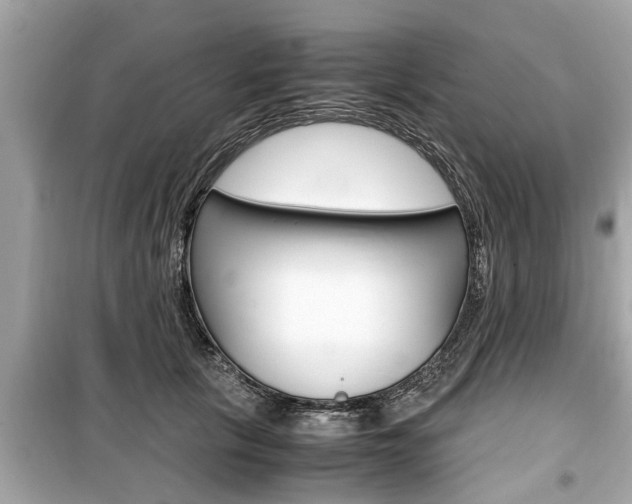 X0000099550657200805160727
