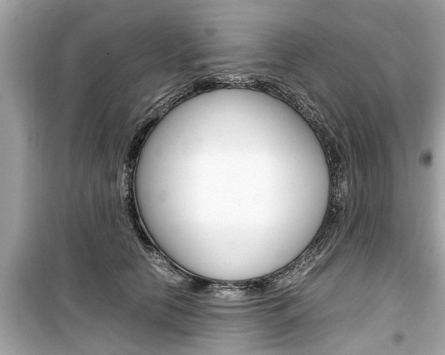 X0000099550658200805160727