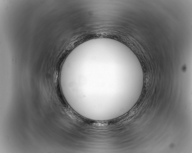 X0000099550660200805160727