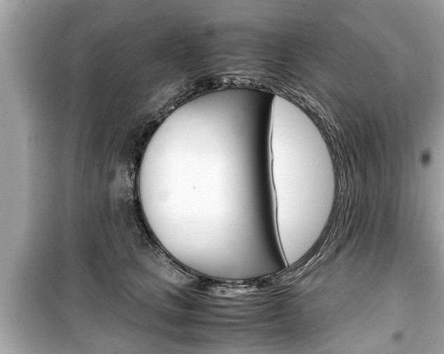 X0000099550661200805160727