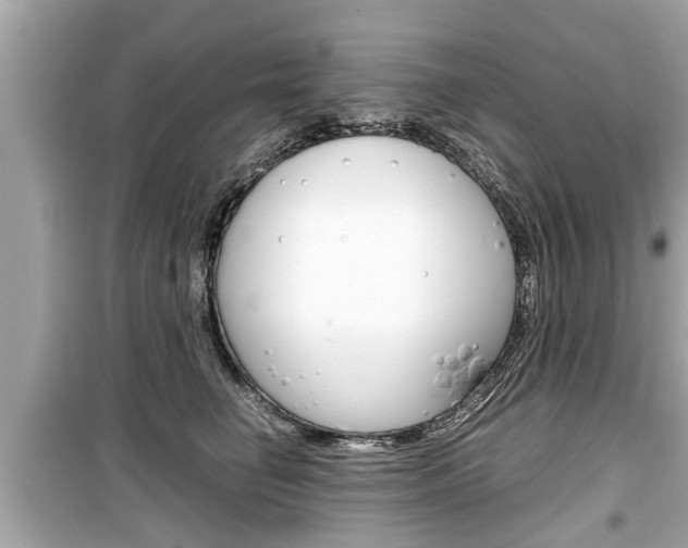 X0000099550662200805160727