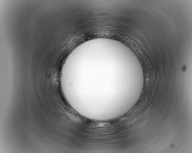 X0000099550663200805160727
