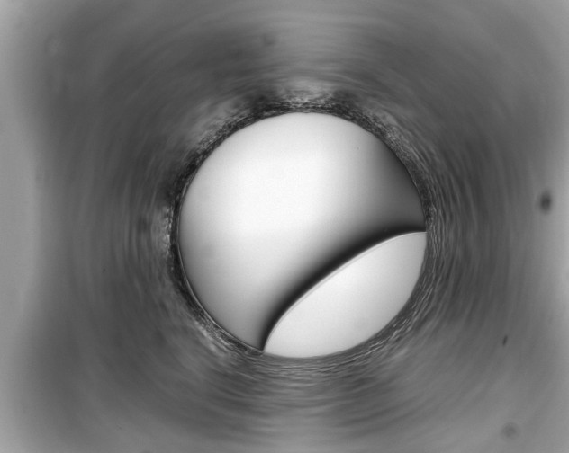 X0000099550664200805160727