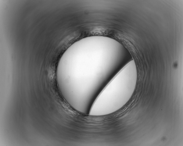 X0000099550665200805160728