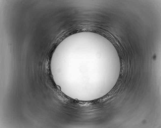 X0000099550667200805160728