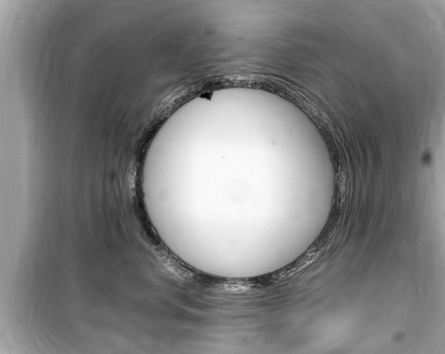 X0000099550668200805160728