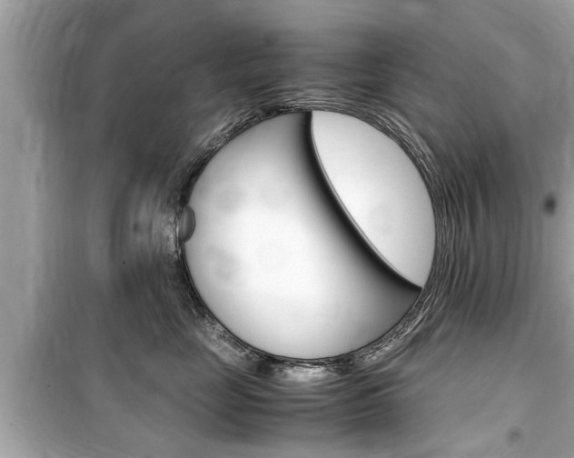 X0000099550669200805160728