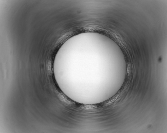 X0000099550670200805160728