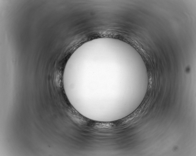 X0000099550671200805160728