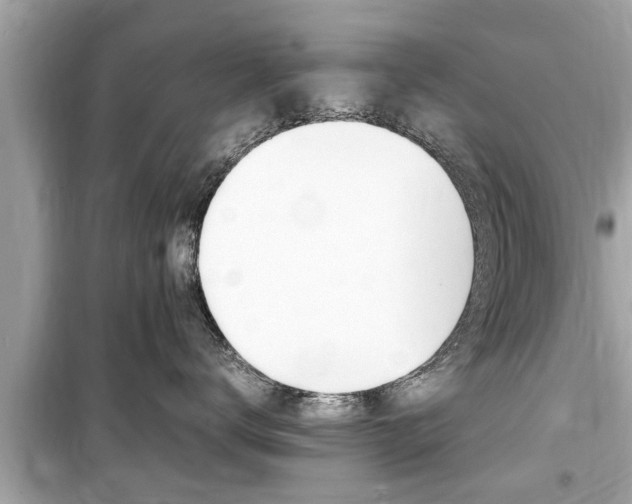 X0000099550672200805160728