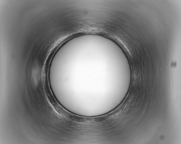X0000099550674200805160727