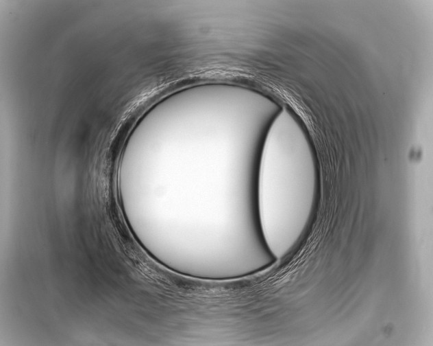 X0000099550675200805160727