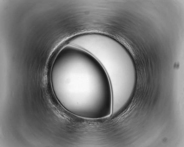 X0000099550676200805160727