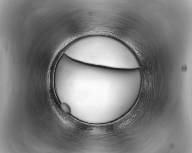 X0000099550678200805160727