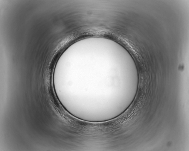 X0000099550679200805160727