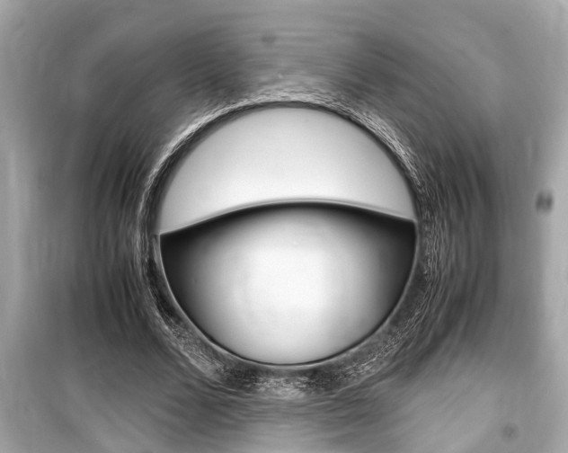 X0000099550680200805160727