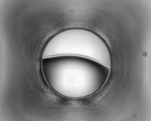 X0000099550681200805160727