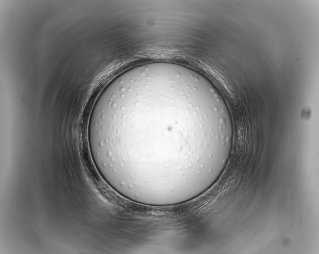 X0000099550682200805160727