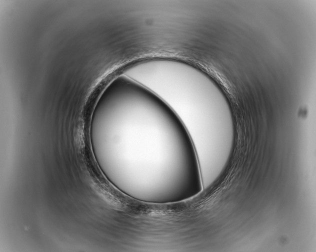 X0000099550684200805160727