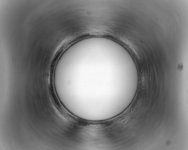X0000099550686200805160727