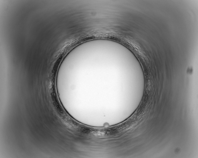 X0000099550687200805160727
