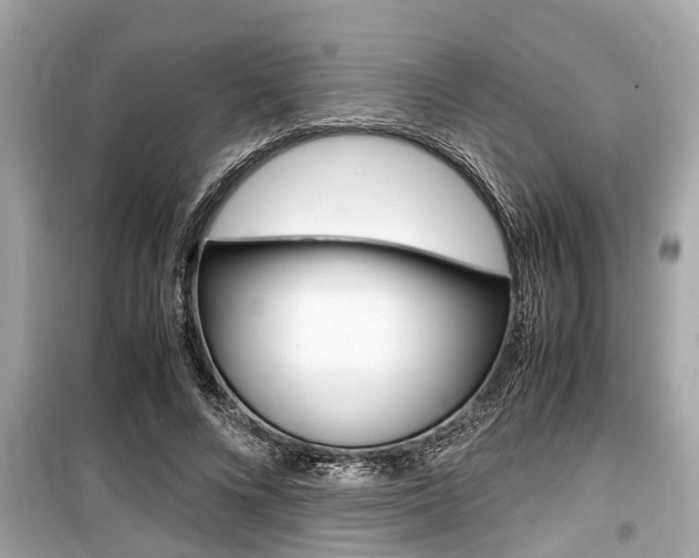 X0000099550688200805160727