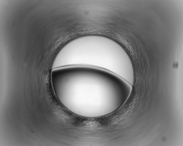 X0000099550689200805160727